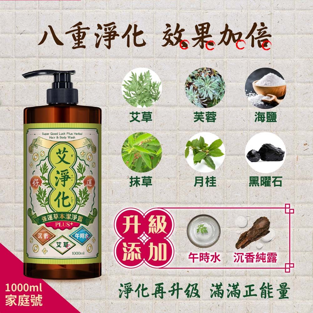 Maywufa 美吾髮 艾系列 艾淨化午時水PLUS強運草本洗沐2合1潔淨露1000ml (無矽靈/艾草/抹草/芙蓉/月桂/海鹽/黑曜石/午時水)