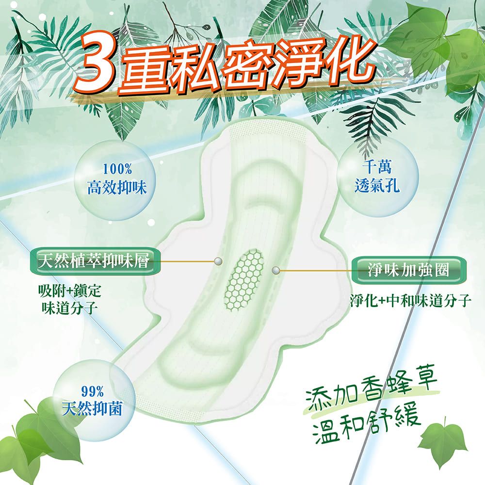 Kotex 靠得住 20包組-草本抑菌衛生棉 (23cm/26cm/28cm/35cm)