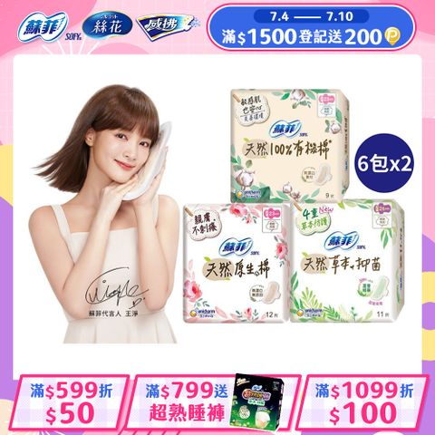 蘇菲 天然原生棉超潔翼 12包組(23cm/26cm/29cm)	