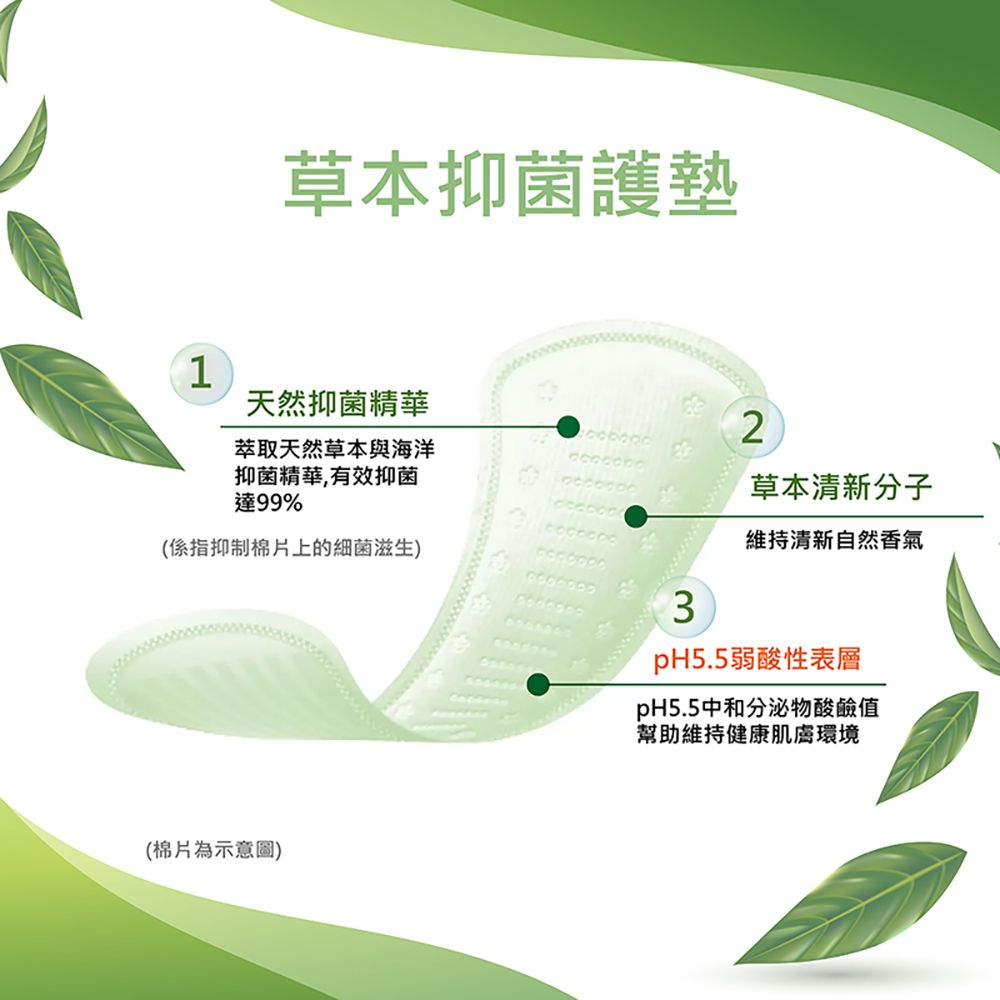 Kotex 靠得住 草本抑菌護墊( 56片/包 6包/箱)