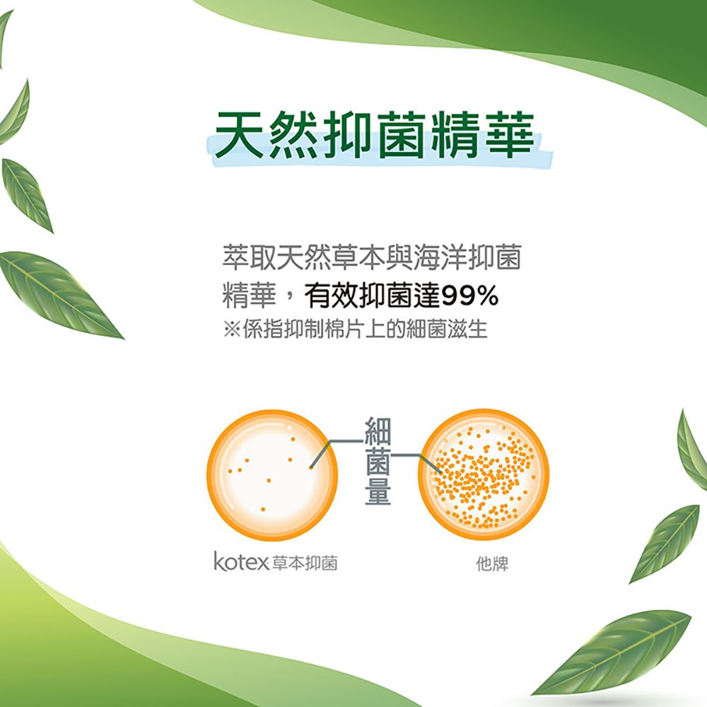 Kotex 靠得住 草本抑菌護墊( 56片/包 6包/箱)