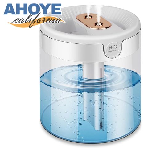 AHOYE 2L雙噴頭水氧機 TYPE-C供電 (加濕器 薰香機 香氛機)