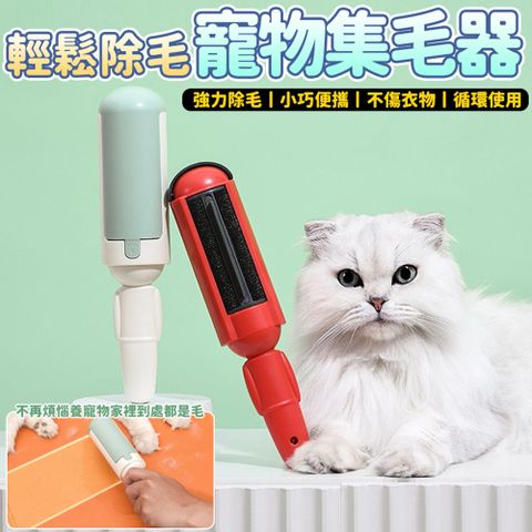 除毛寵物集毛器/衣物黏毛器/毛髮收集器(2入組)