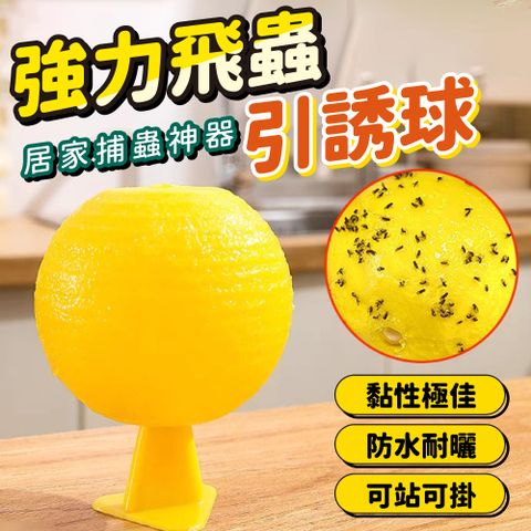 升級版強力果蠅飛蟲誘捕器(超值5入)