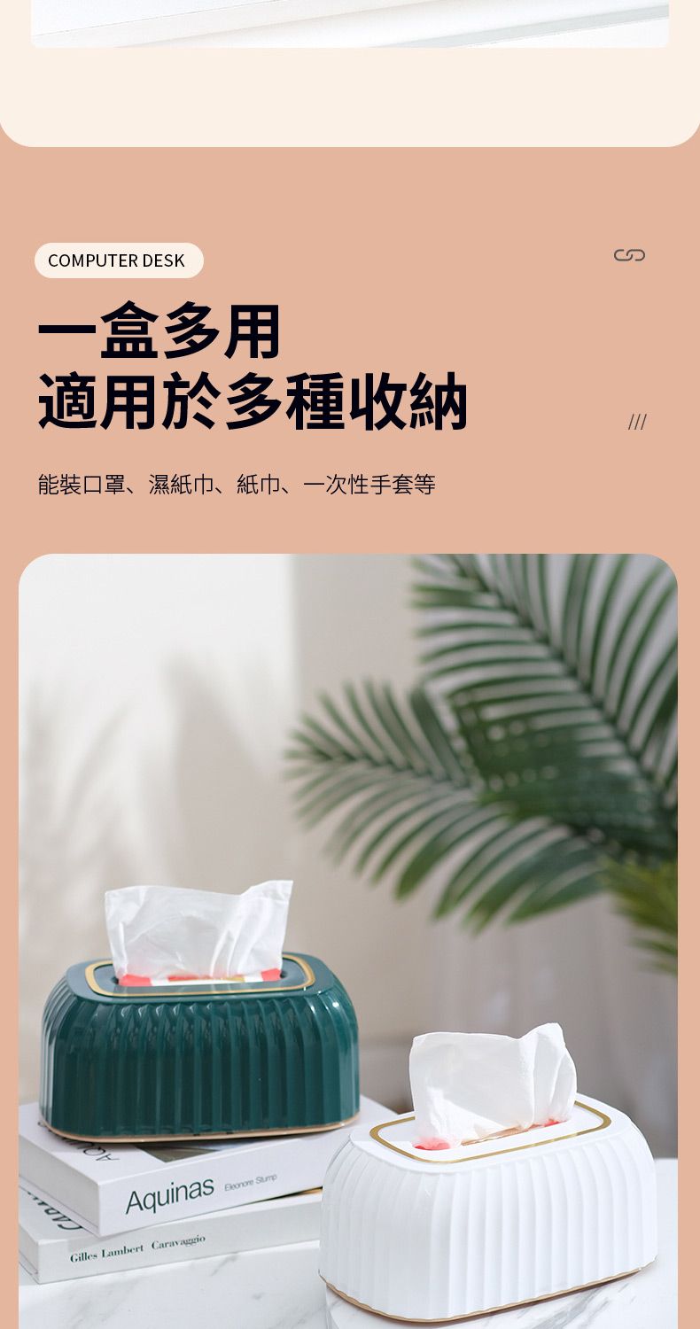 COMPUTER DEK一盒多用適用於多種收納能裝口罩、濕紙巾、紙巾、一次性手套等AquinasGilles Lambert  S