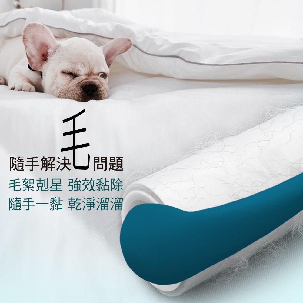 Easy Cleaner 家簡塵除 隨手黏滾筒黏塵把16cm共60張