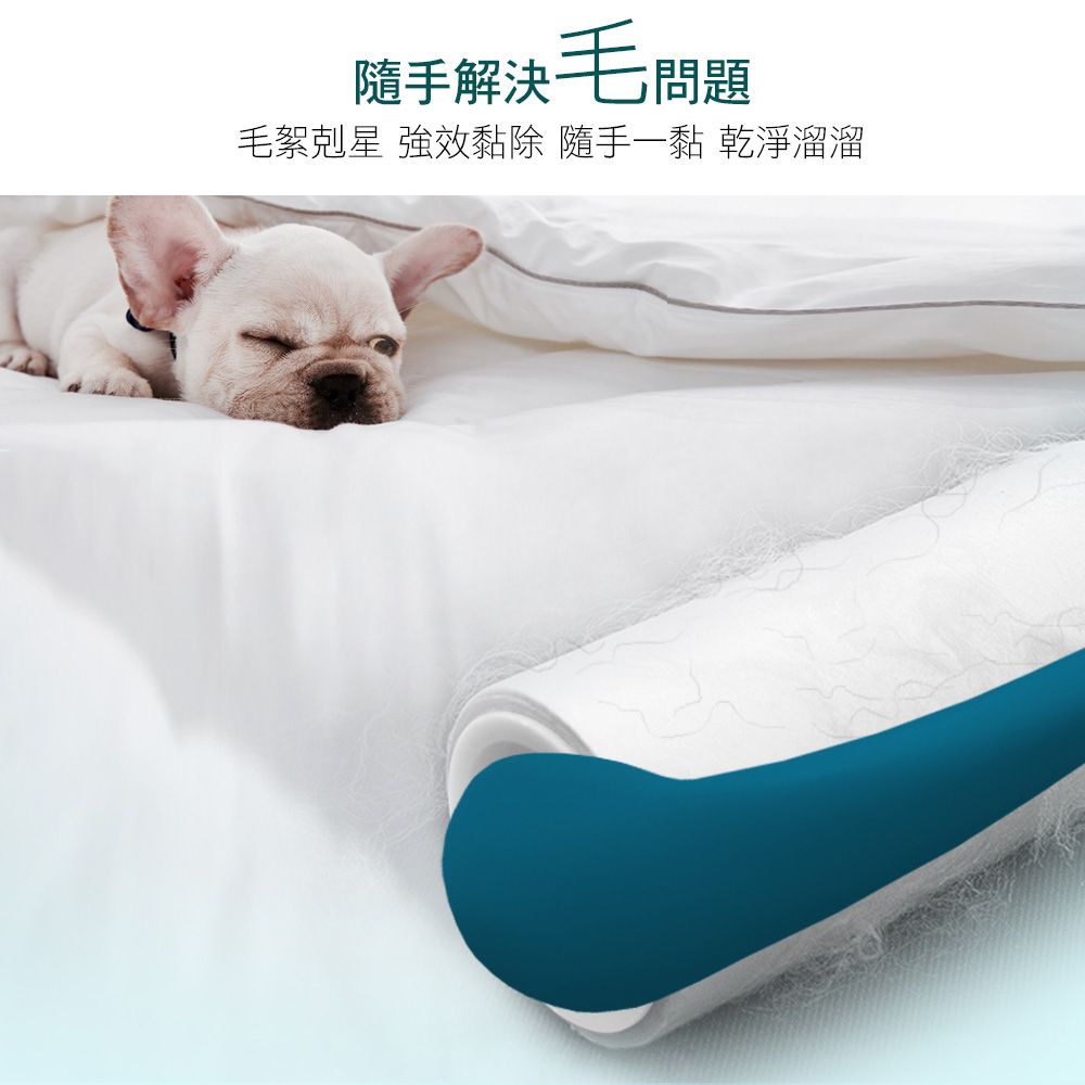 Easy Cleaner 家簡塵除 滾筒黏塵紙補充包16cm共180張 (3捲/入)