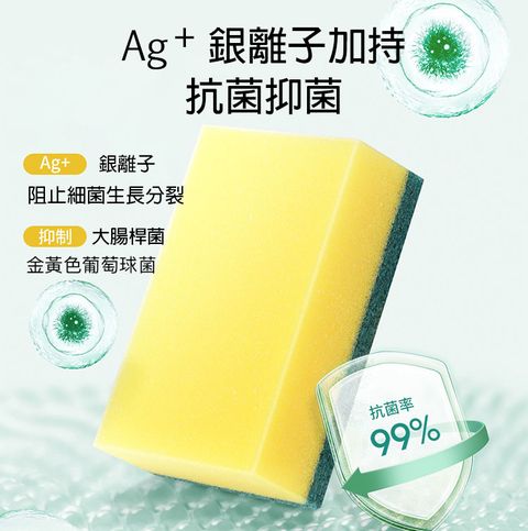 雙效海綿菜瓜布