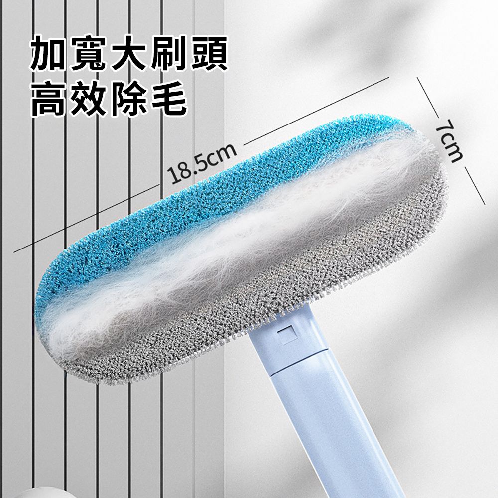 CITY STAR 二合一玻璃清潔寵物除毛刷-2入
