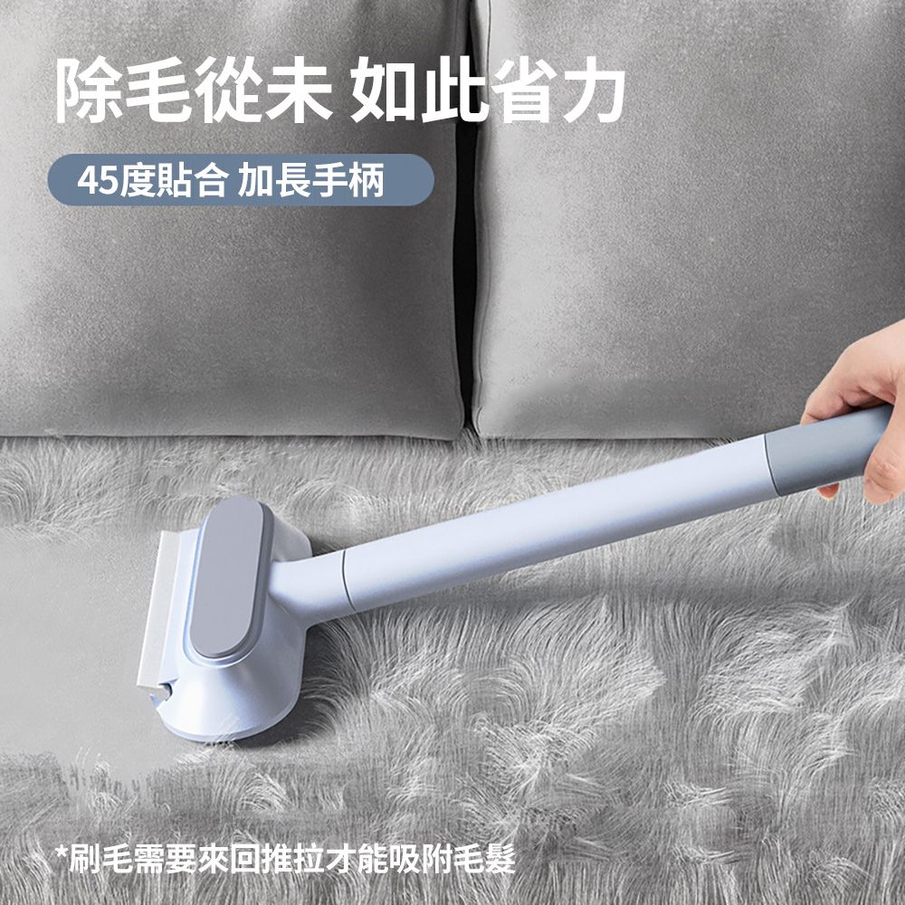 CITY STAR 二合一玻璃清潔寵物除毛刷-2入