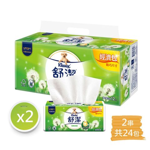 Kleenex 舒潔 羽絨經濟抽取衛生紙 (100抽x12包*2串)