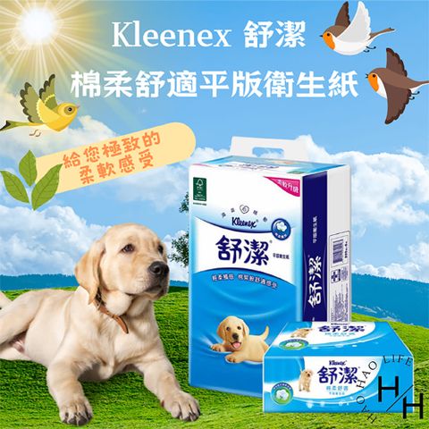 Kleenex 舒潔 2串組-棉柔舒適平版衛生紙(300張*6包*2串)