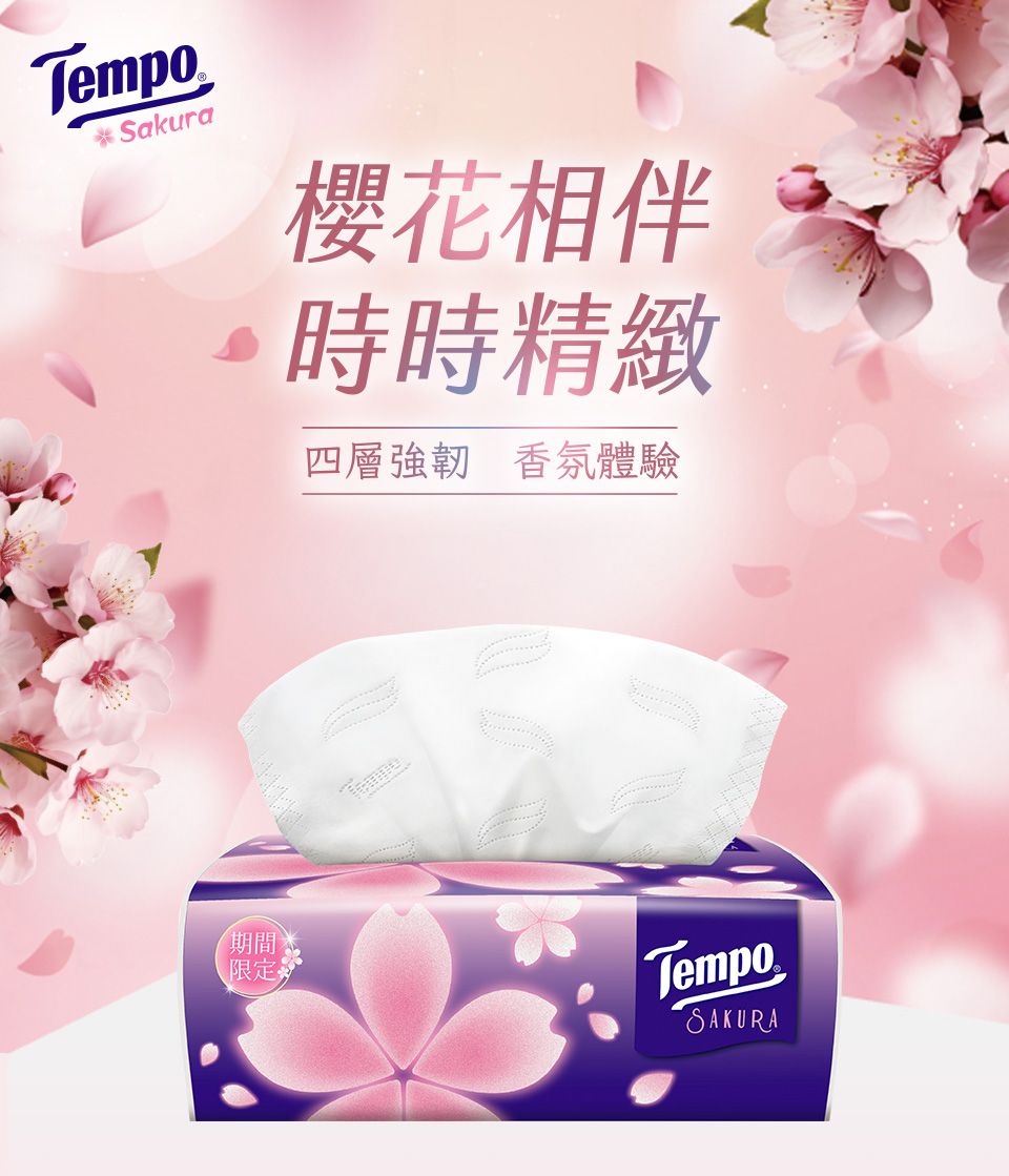 Tempo * Sakura櫻花相伴時時精緻四層強韌 香氛體驗期間限定TempoSAKURA