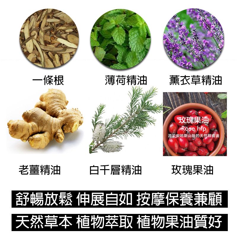 金牌 金門一條根勁熱膏油膏(勁熱舒緩) 90g* 三罐