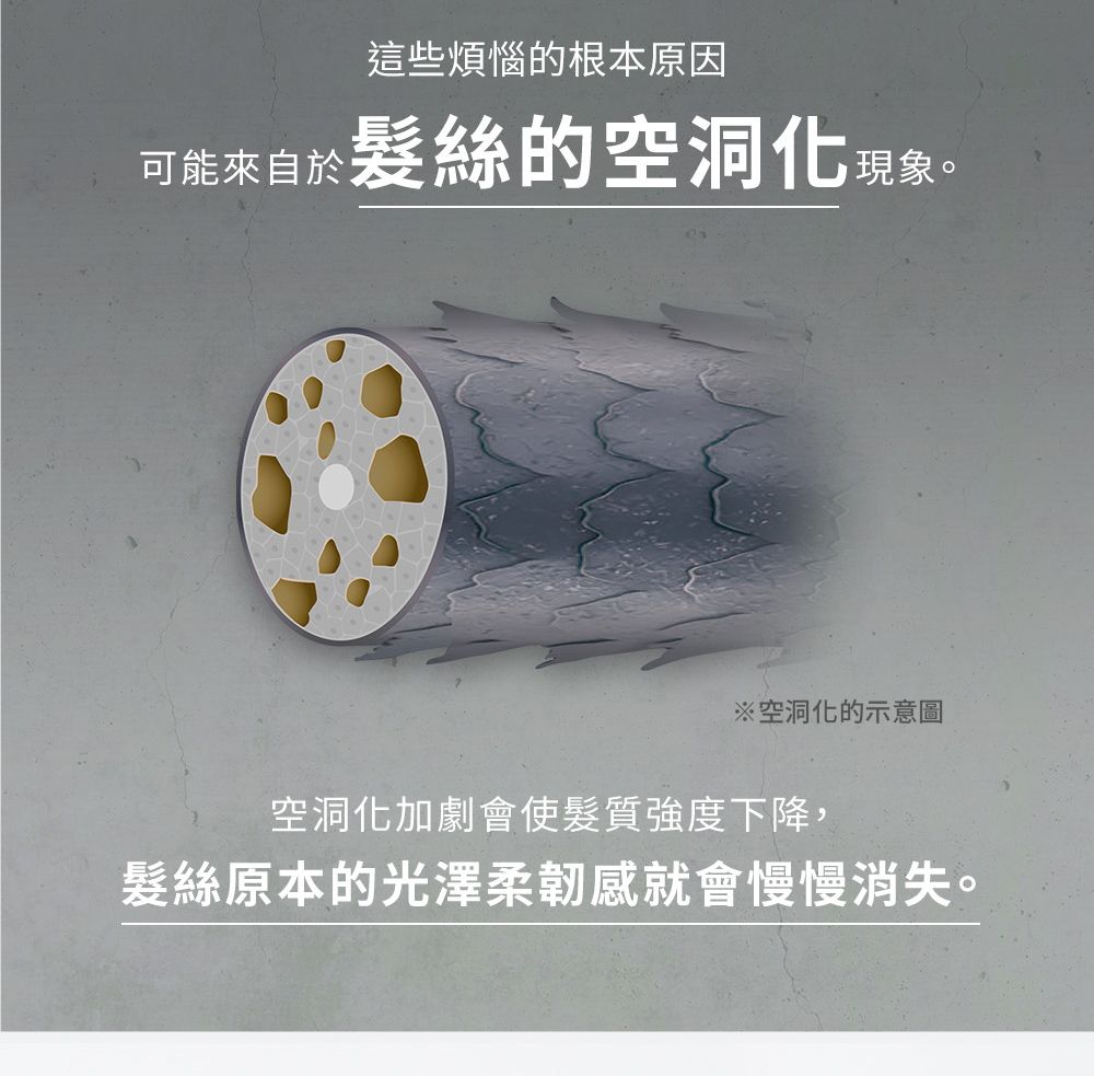 這些煩惱的根本原因可能來自於髮絲的空洞化現象。※空洞化的示意圖空洞化加劇會使髮質強度下降,髮絲原本的光澤柔韌就會慢慢消失。