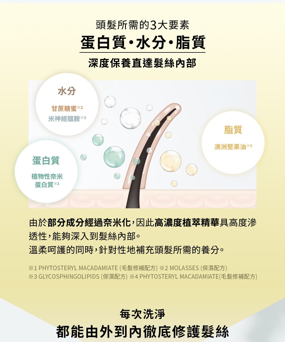 水分甘蔗糖蜜  頭髮所需的3大要素蛋白質水分脂質米神經醯胺  3蛋白質植物性奈米蛋白質*1深度保養直達髮絲內部脂質澳洲堅果油4由於部分成分經過奈米化,因此高濃度植萃精華高度滲透性,能夠深入到髮絲內部。溫柔呵護的同時,針對性地補充頭髮所需的養分。1 PHYTOSTERYL MACADAMIATE (毛髮修補配方) ※2 MOLASSES (保濕配方)※3 GLYCOSPHINGOLIPIDS (保濕配方)※4 PHYTOSTERYL MACADAMIATE(毛髮修補配方)每次洗淨都能由外到內徹底修護髮絲