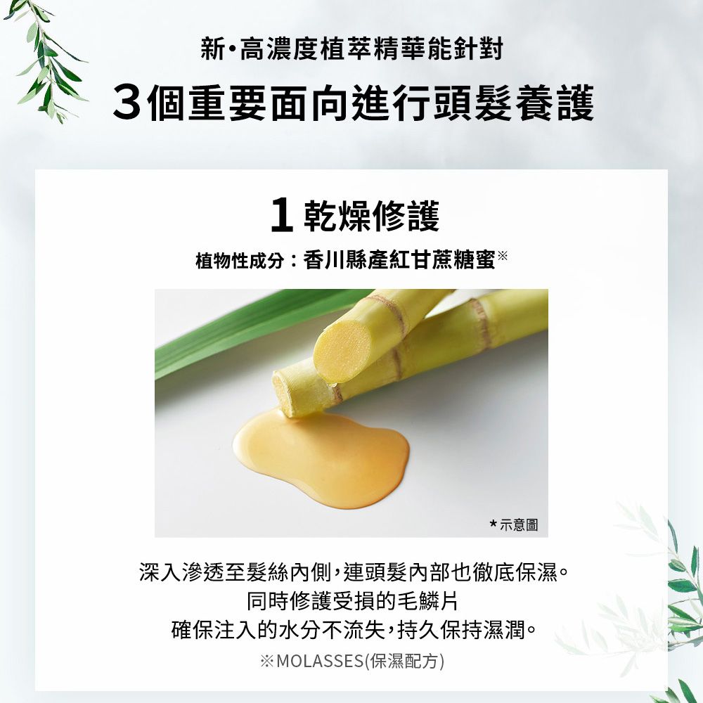 BOTANIST 植物性洗髮精460ml(清爽柔順/滋潤/髮肌淨化/彈潤蓬鬆/受損護理)