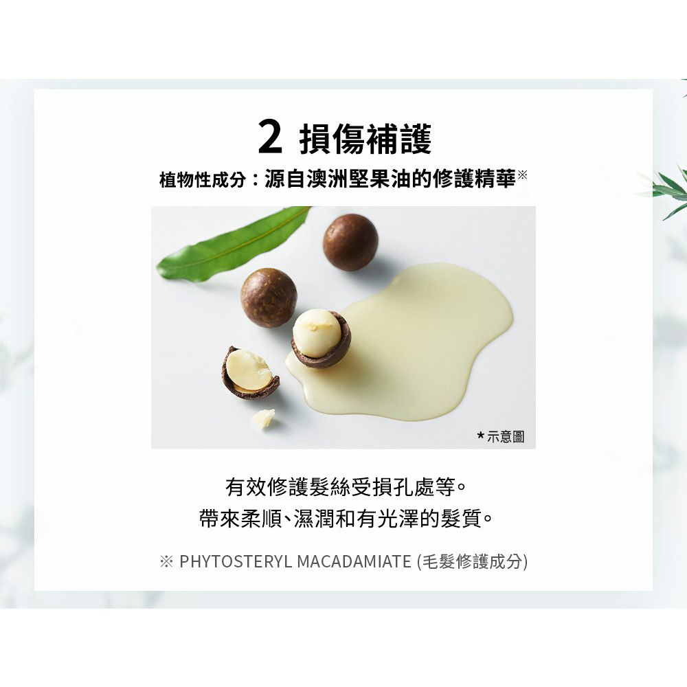 BOTANIST 植物性洗髮精460ml(清爽柔順/滋潤/髮肌淨化/彈潤蓬鬆/受損護理)