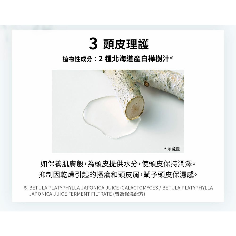 BOTANIST 植物性洗髮精460ml(清爽柔順/滋潤/髮肌淨化/彈潤蓬鬆/受損護理)