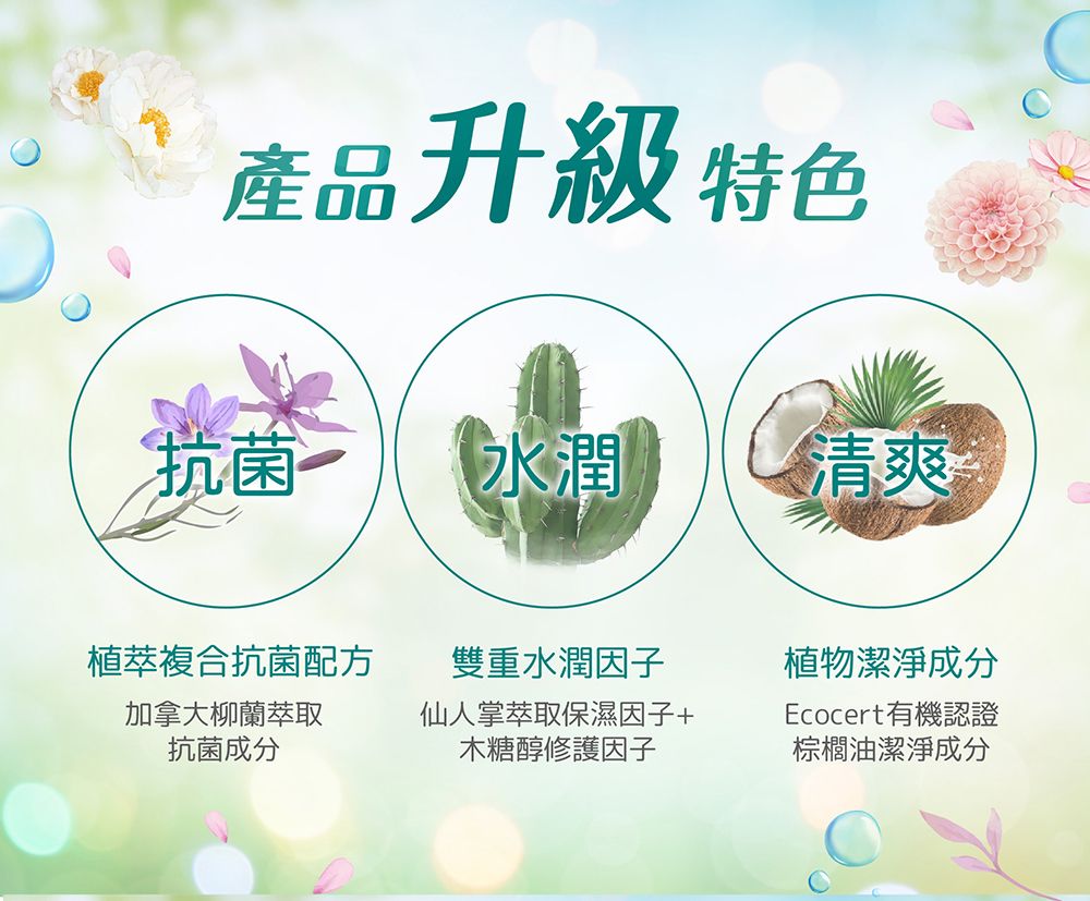 產品升級 特色抗菌水潤清爽植萃複合抗菌配方加拿大柳蘭萃取抗菌成分雙重水潤因子仙人掌萃取保濕因子+木糖醇修護因子植物潔淨成分Ecocert有機認證棕櫚油潔淨成分