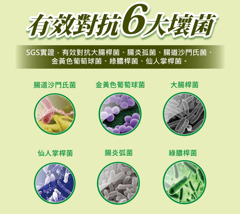 有效對抗6大壞菌SGS實證,有效對抗大腸桿菌、腸炎孤菌、腸道沙門氏菌、金黃色葡萄球菌、綠膿桿菌、仙人掌桿菌。腸道沙門氏菌金黃色葡萄球菌大腸桿菌仙人掌桿菌腸炎弧菌綠膿桿菌