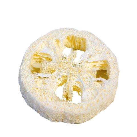 愛草學  天然圓餅形絲瓜絡5入 (可當皂墊/可去角質/可當清潔用品)