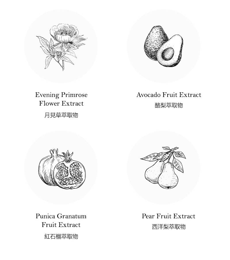 Evening PrimroseFlower Extract月見草Avocado Fruit Extract酪梨萃取物Punica GranatumFruit Extract紅石榴萃取物Pear Fruit Extract西洋梨萃取物