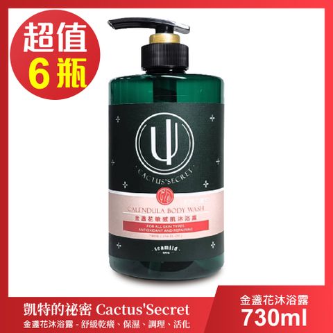 清淨海 凱特的秘密 金盞花敏感肌沐浴露-超值6瓶組(730ml/瓶)