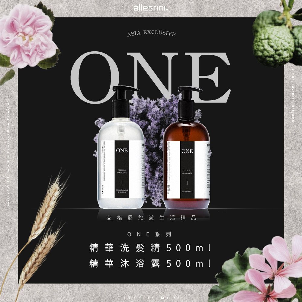 ALLEGRINI 艾格尼 ONE系列 經典組(精華洗髮精500ml+精華沐浴露500ml)