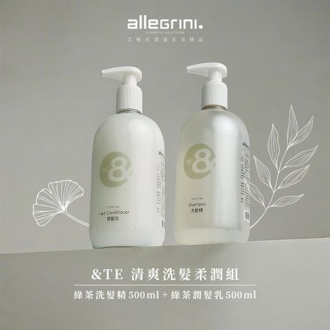 ALLEGRINI 艾格尼 &TE系列 清爽洗髮柔潤組(洗髮乳500ml+潤髮乳500ml)