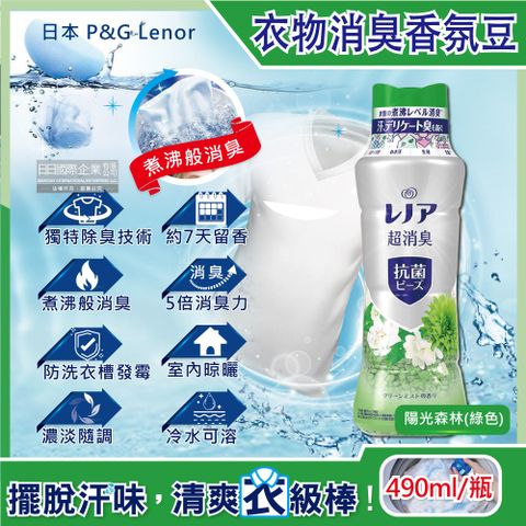 P&G 寶僑 日本 Lenor蘭諾-煮沸般超消臭汗味衣物除臭芳香顆粒香香豆-陽光森林490ml/綠色瓶(香氛柔軟精)