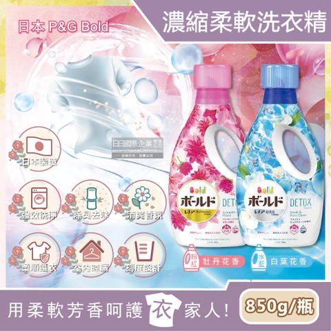 BOLD 日本P&G -柔軟香氛超濃縮洗衣精(2款可選)850g/瓶(新改版包裝)(衣物香氛,柔順護衣,柔軟洗衣精)