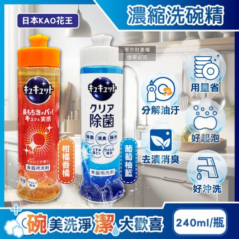 日本KAO花王-珂珂透CUCUTE高效濃縮洗碗精240ml/瓶
