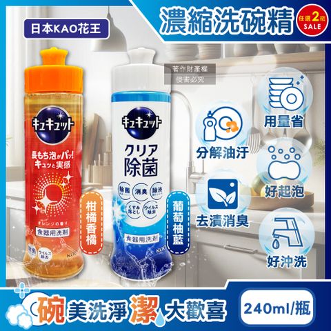 (2瓶)日本KAO花王-珂珂透CUCUTE高效濃縮洗碗精240ml/瓶
