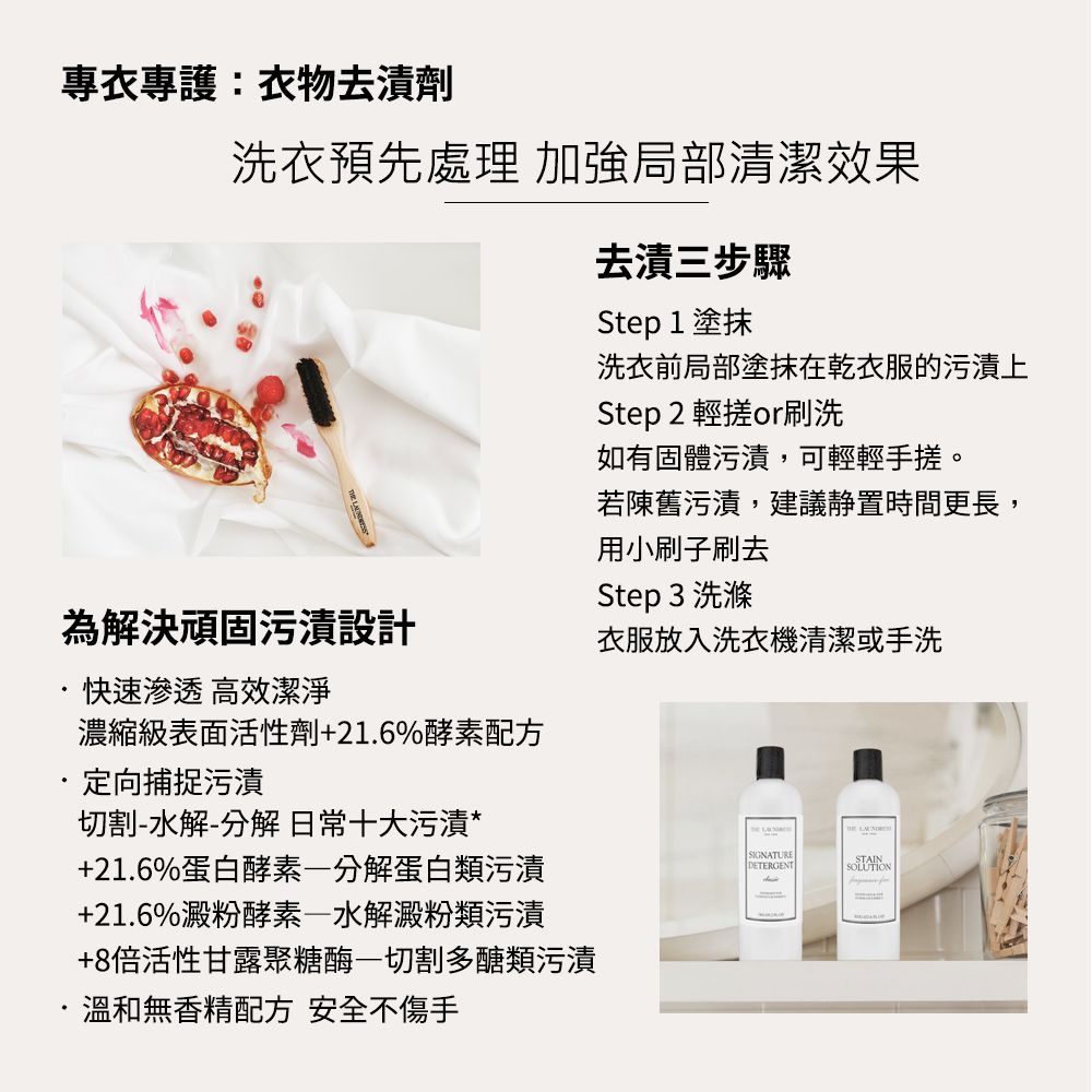 THE LAUNDRESS 衣物去漬劑 無香味 去漬清潔劑 500g