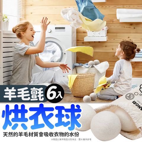 羊毛氈烘衣球(6入)