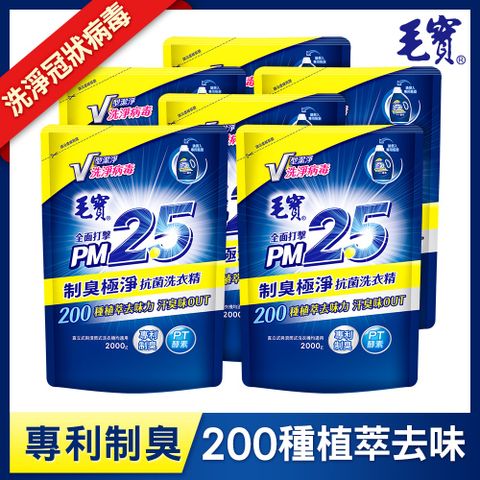 ◤洗淨冠狀病毒◢【毛寶】制臭極淨PM2.5洗衣精-補充包(2000gX6入)