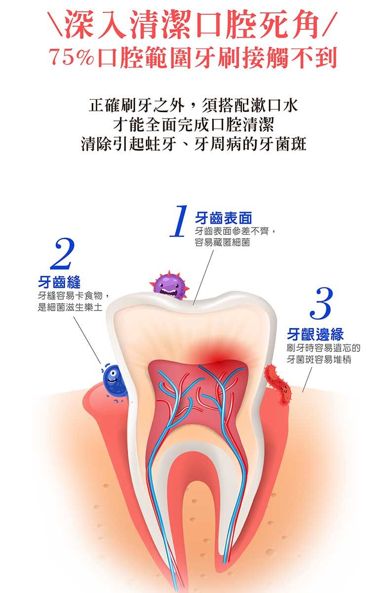 \深入清潔口腔死角/5%口腔範圍牙刷接觸不到正確刷牙之外,須搭配漱口水才能全面完成口腔清潔清除引起蛀牙、牙周病的牙菌斑2牙齒縫牙縫容易卡食物,是細菌滋生樂土7牙齒表面牙齒表面參差不齊,容易藏匿細菌3牙齦邊緣刷牙時容易遺忘的牙菌斑容易堆積
