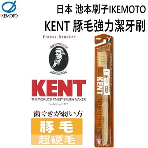 IKEMOTO 池本 日本  豚毛強力潔牙刷