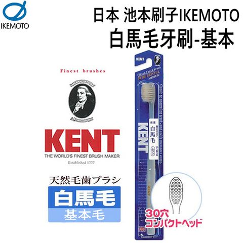 IKEMOTO 池本 日本  白馬毛牙刷-基本