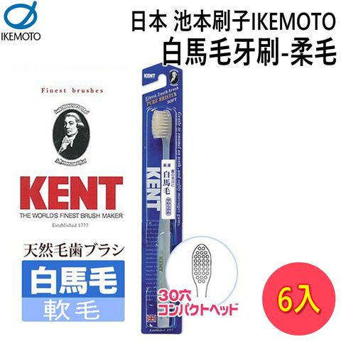 IKEMOTO 池本 日本  白馬毛牙刷-柔毛 【6入組】