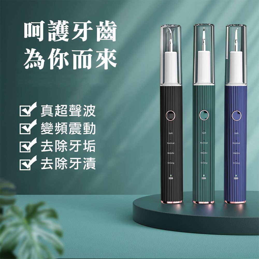 CITY STAR 新濠 智能超聲波牙垢去除洗牙器