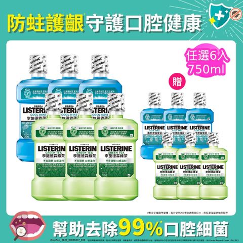 李施德霖 清新系列漱口水750ml+250mlx6 (任選箱購_綠茶/薄荷)