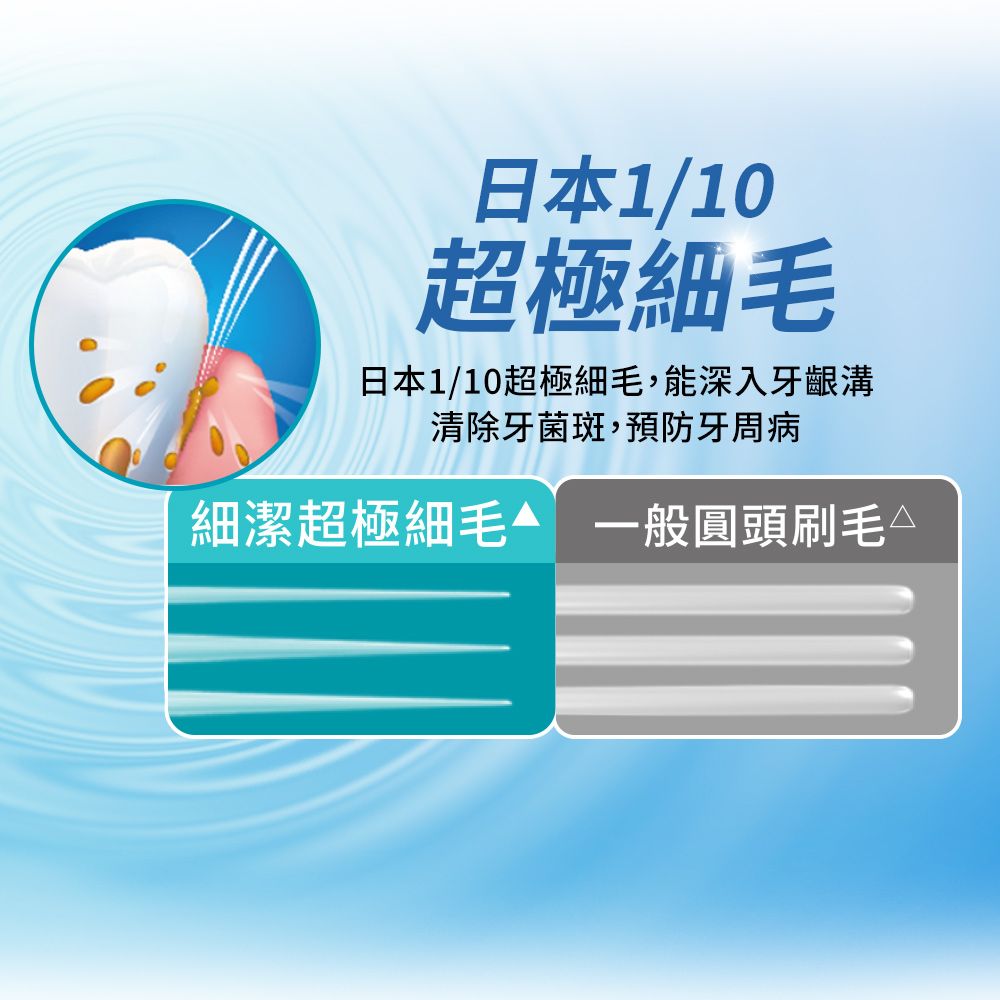 LION 日本獅王  細潔標準牙刷三入(顏色隨機出貨)