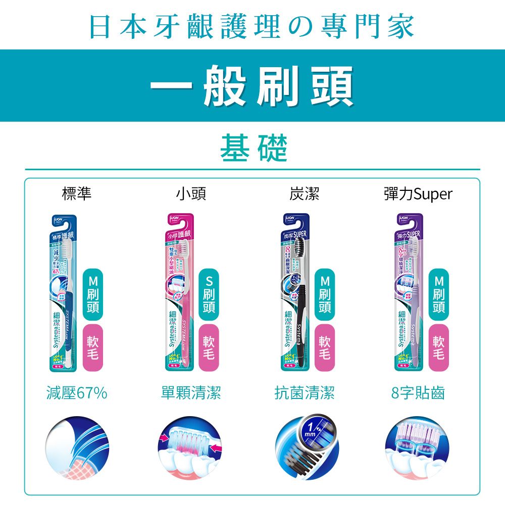 LION 日本獅王  細潔標準牙刷三入(顏色隨機出貨)