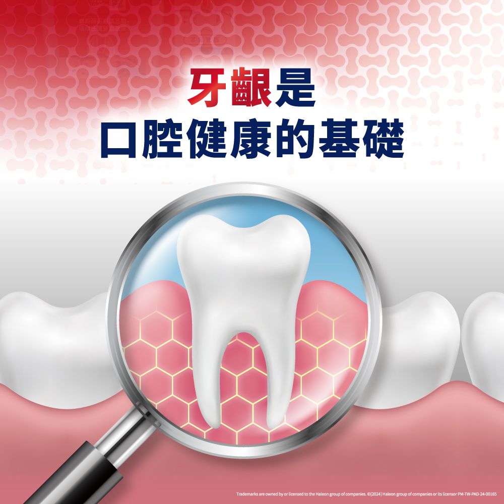 牙齦是口腔健康的基礎Trademarks are owned by or licensed to the Haleon group of companies © 2024 Haleon group of companies or its licensor PM-TW-PAD-24-00165