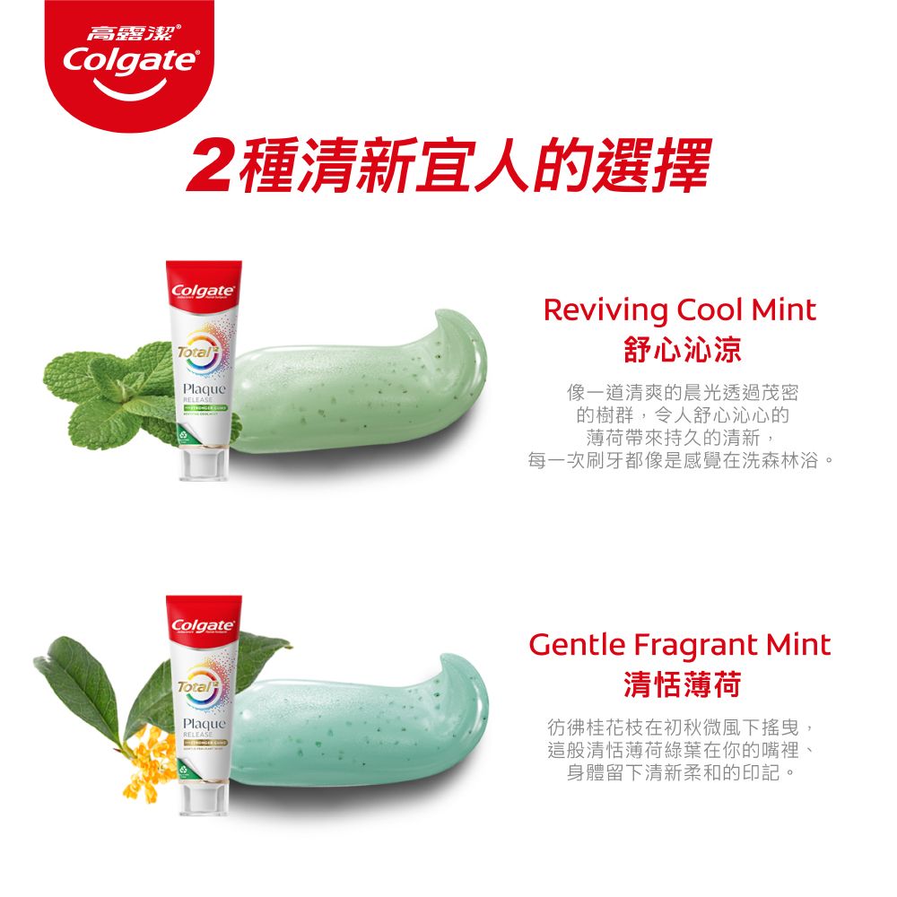 高露潔Colgate®2種清新宜人的選擇ColgateTotalPlaqueRELEASEReviving Cool Mint舒心沁涼像一道清爽的晨光透過茂密的樹群,令人舒心沁心的薄荷帶來持久的清新,每一次刷牙都像是感覺在洗森林浴。ColgateTotalPlaqueRELEASEGentle Fragrant Mint清薄荷桂花枝在初秋微風下搖曳,這般清恬薄荷綠葉在你的嘴裡、身體留下清新柔和的印記。