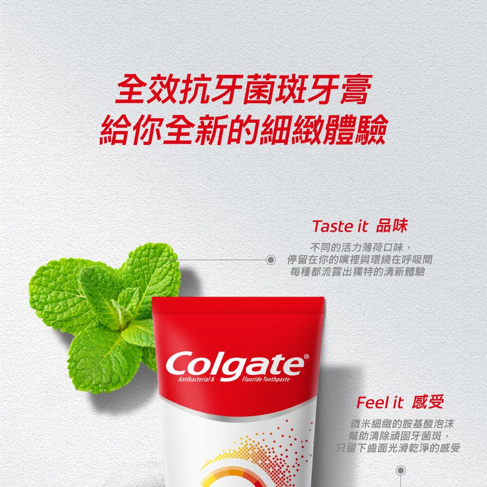 全效抗牙菌斑牙膏給你全新的細緻體驗Taste it 品味不同的活力薄荷口味,停留在你的嘴裡與環繞在呼吸間每種都流露出獨特的清新體驗ColgateAntibacterial &FluorideFeelit 感受微米細緻的胺基酸泡沫幫助清除頑固牙菌斑,只留下齒面光滑乾淨的感受