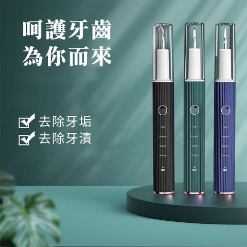 CS22 智能牙垢去除器 2色