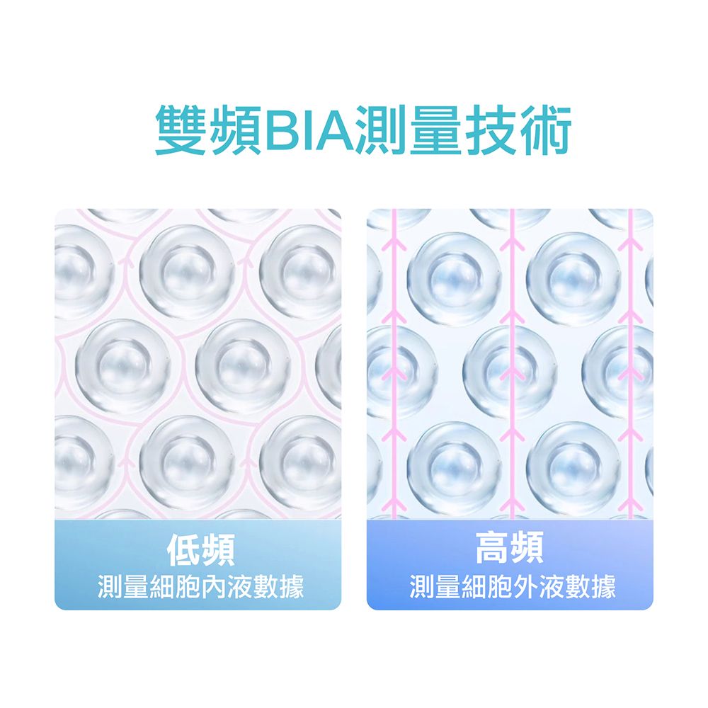 立菱尹 八電極家用體脂計